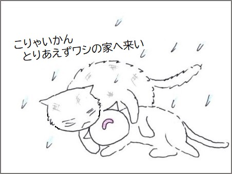 f:id:chai-ko:20200523182236j:plain