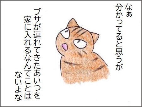 f:id:chai-ko:20200523183428j:plain