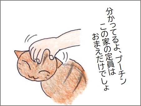f:id:chai-ko:20200523183431j:plain