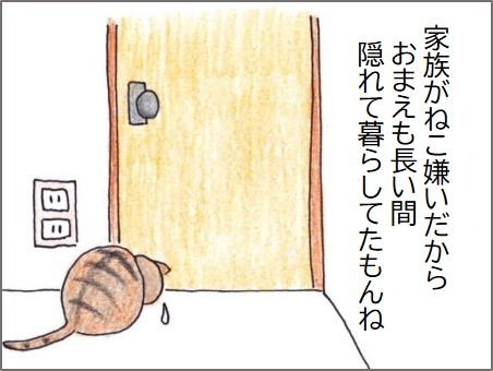f:id:chai-ko:20200523183434j:plain