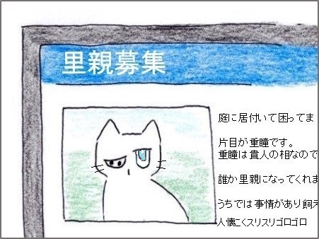 f:id:chai-ko:20200523183440j:plain