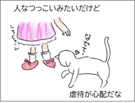f:id:chai-ko:20200523184147j:plain