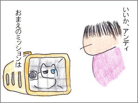 f:id:chai-ko:20200527210534j:plain