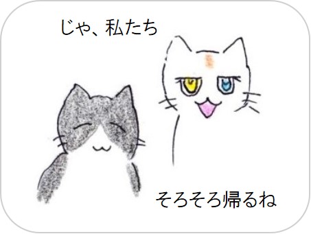 f:id:chai-ko:20200528213808j:plain