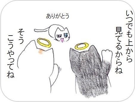 f:id:chai-ko:20200528213811j:plain