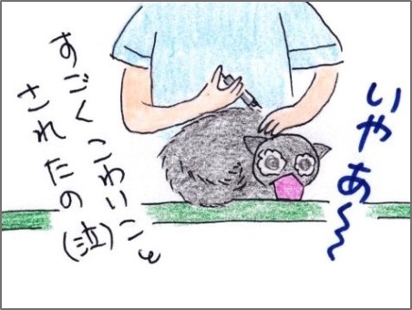 f:id:chai-ko:20200607194856j:plain