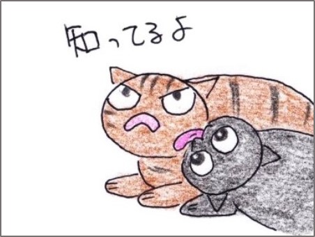 f:id:chai-ko:20200607194859j:plain