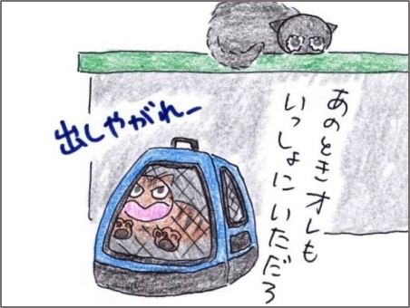 f:id:chai-ko:20200607194901j:plain