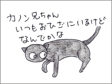 f:id:chai-ko:20200710201620j:plain