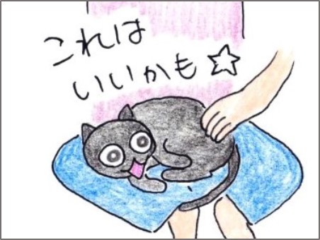 f:id:chai-ko:20200710201626j:plain