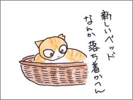 f:id:chai-ko:20200719185755j:plain