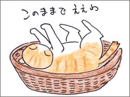 f:id:chai-ko:20200719185804j:plain