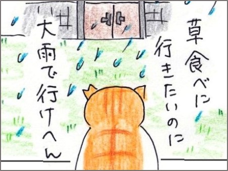 f:id:chai-ko:20200724200531j:plain