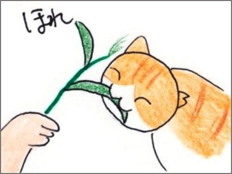 f:id:chai-ko:20200724200537j:plain