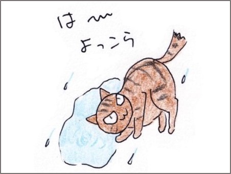 f:id:chai-ko:20200726204037j:plain