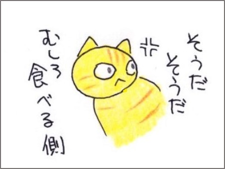 f:id:chai-ko:20200801190225j:plain