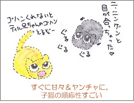 f:id:chai-ko:20200809204256j:plain