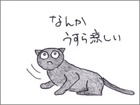 f:id:chai-ko:20200810180059j:plain