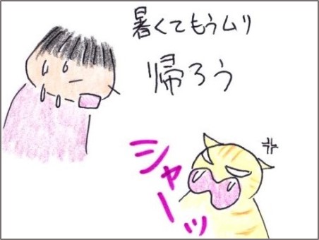 f:id:chai-ko:20200817190044j:plain
