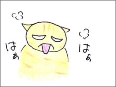 f:id:chai-ko:20200817190048j:plain