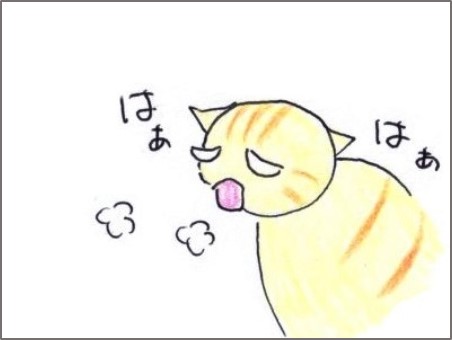 f:id:chai-ko:20200818193734j:plain