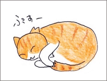 f:id:chai-ko:20200820161155j:plain