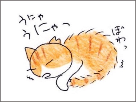 f:id:chai-ko:20200820161158j:plain