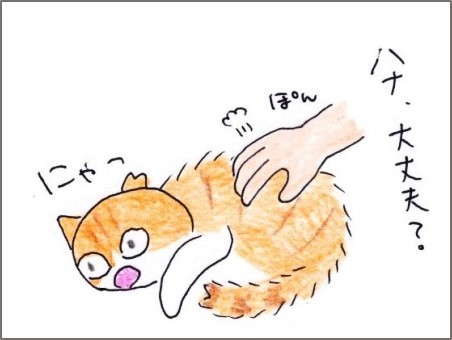 f:id:chai-ko:20200820161201j:plain