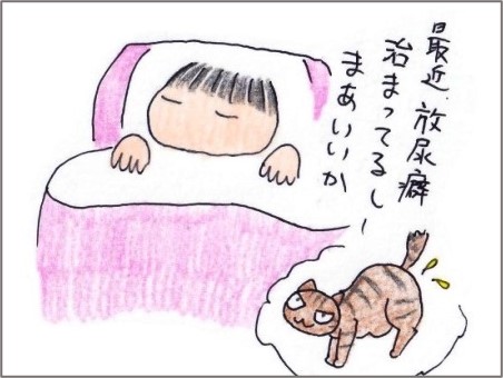 f:id:chai-ko:20200829200931j:plain f:id:chai-ko:20200829200931j:plain