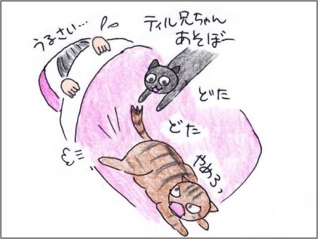 f:id:chai-ko:20200829200937j:plain f:id:chai-ko:20200829200937j:plain