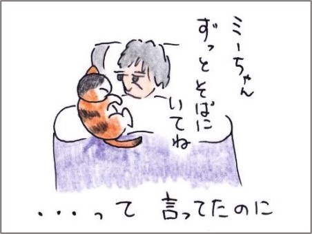 f:id:chai-ko:20200921124503j:plain