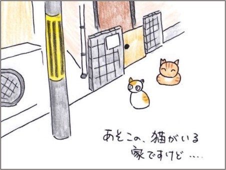 f:id:chai-ko:20200921124600j:plain