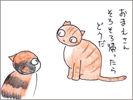 f:id:chai-ko:20200921150505j:plain