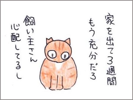 f:id:chai-ko:20200921150507j:plain
