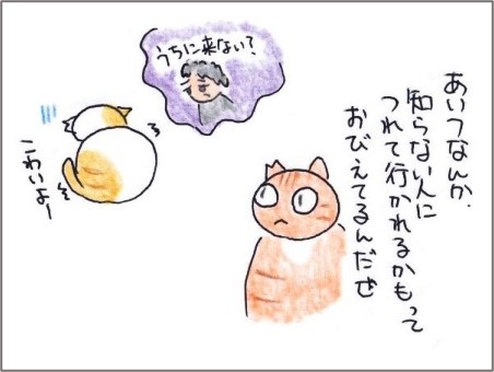 f:id:chai-ko:20200921150510j:plain