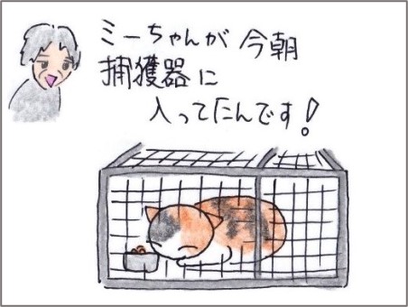f:id:chai-ko:20200921150522j:plain