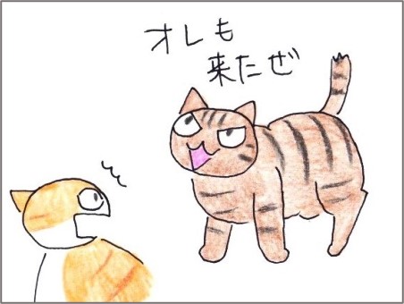 f:id:chai-ko:20200926203452j:plain