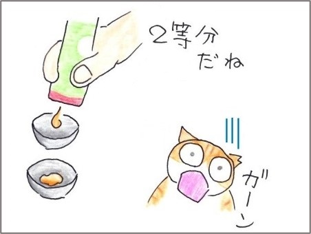 f:id:chai-ko:20200926203457j:plain