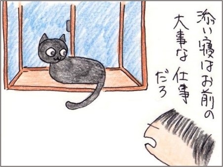 f:id:chai-ko:20201005201437j:plain