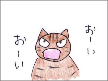 f:id:chai-ko:20201007222917j:plain