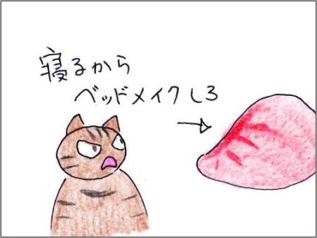 f:id:chai-ko:20201007222920j:plain
