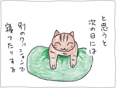 f:id:chai-ko:20201007223132j:plain