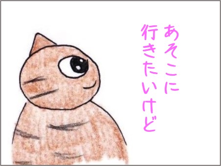 f:id:chai-ko:20201008202918j:plain