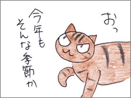 f:id:chai-ko:20201010162619j:plain