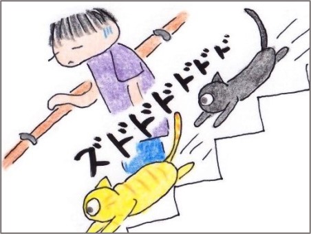 f:id:chai-ko:20201013200833j:plain