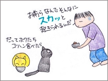 f:id:chai-ko:20201013200834j:plain
