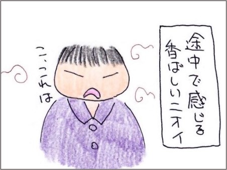 f:id:chai-ko:20201014202345j:plain