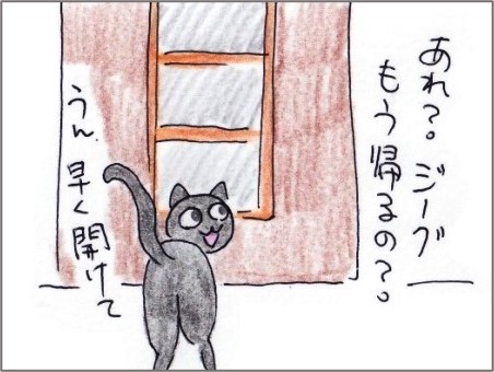 f:id:chai-ko:20201019194733j:plain