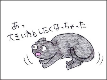 f:id:chai-ko:20201022200611j:plain