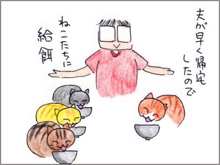 f:id:chai-ko:20201023203014j:plain